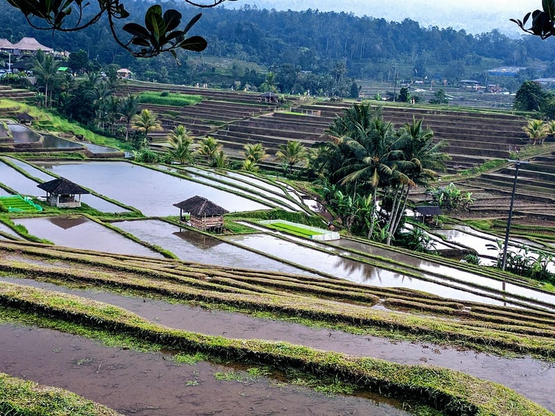 Wellness Retreat in Bali, Indonesia